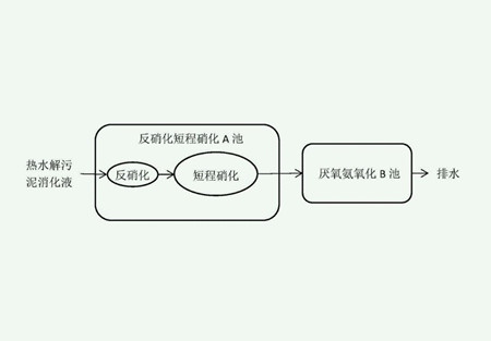 短程硝化反硝化原理（短程硝化反硝化和厭氧氨氧化區別）