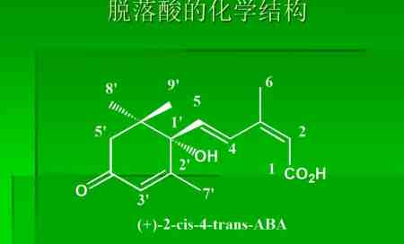 脫落酸的作用和使用方法（脫落酸的作用機制和原理介紹）